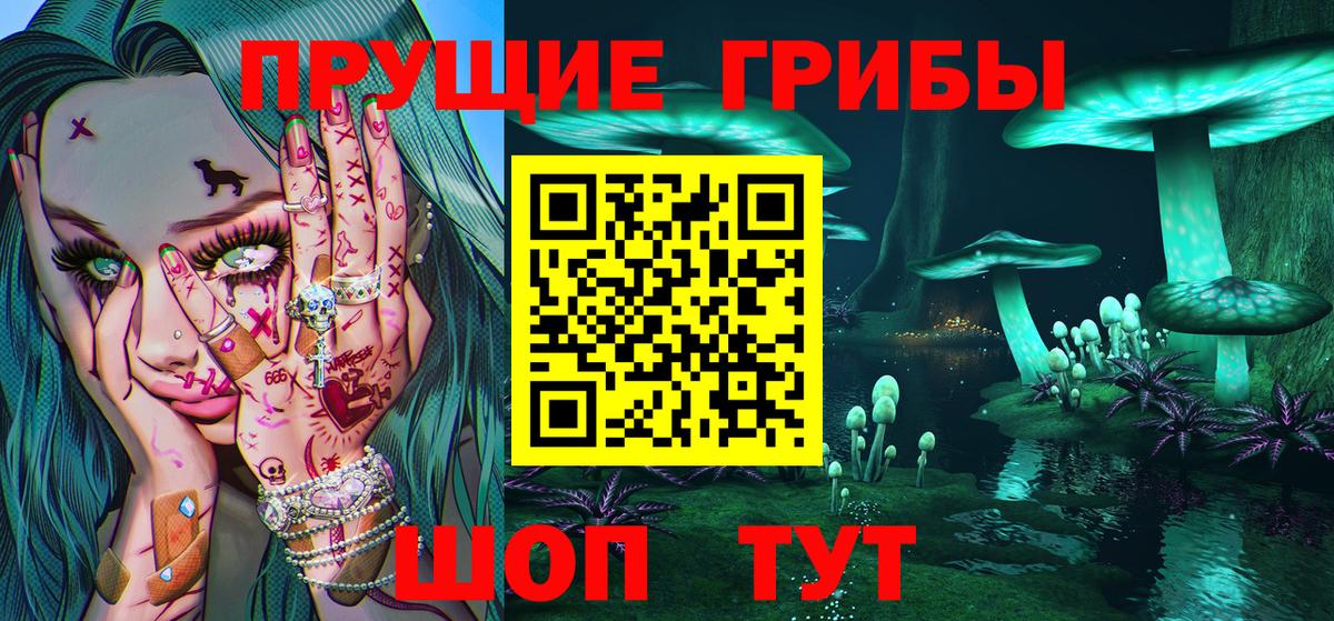 Зеленогорск  наркотики  Вход с VPN  Галлюциногенные грибы прущие грибы 